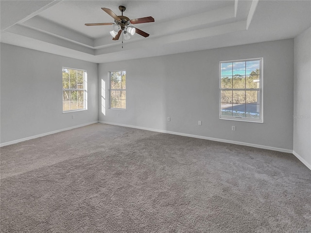 carpeted empty room with a tray ceiling, plenty of natural light, and ceiling fan