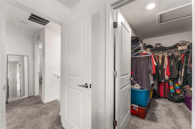 spacious closet with light carpet