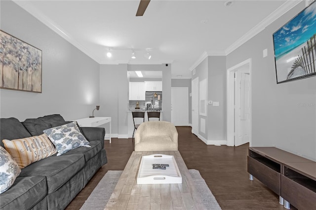 living room with crown molding and dark hardwood / wood-style floors