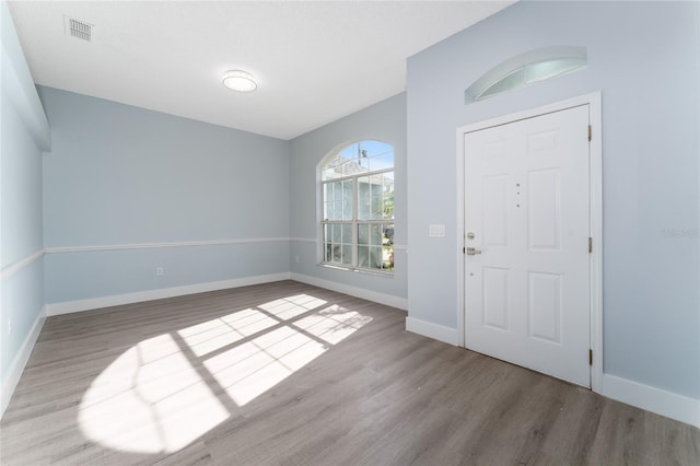 foyer entrance featuring wood-type flooring