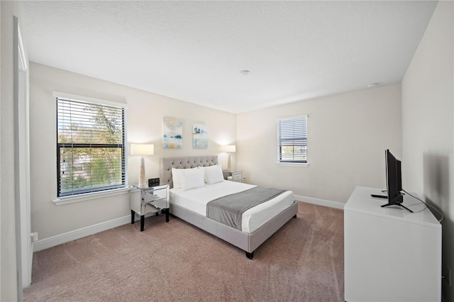 bedroom featuring carpet flooring