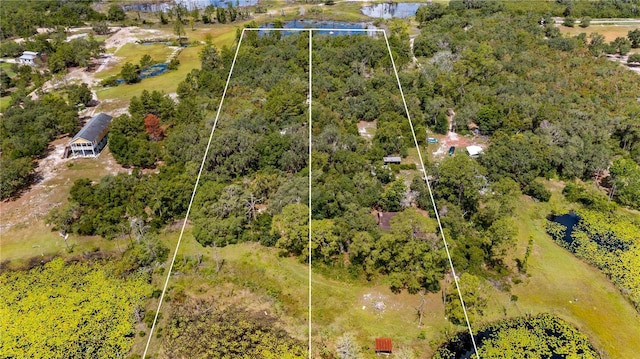 2455 Adelia Blvd, Deltona, FL 32725 - photo 2