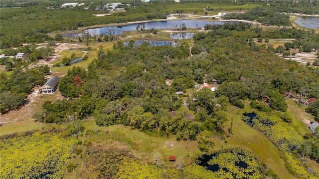 2455 Adelia Blvd, Deltona, FL 32725 - photo 3