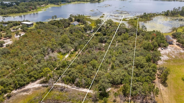 2455 Adelia Blvd, Deltona, FL 32725 - photo 4