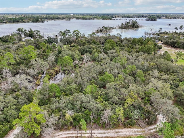 2455 Adelia Blvd, Deltona, FL 32725 - photo 5
