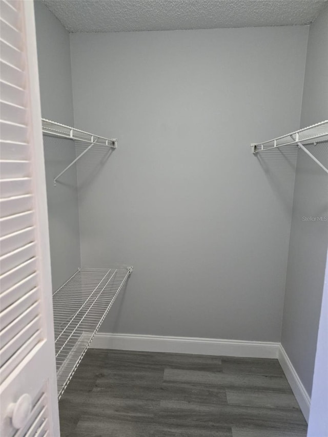 spacious closet featuring dark wood-type flooring