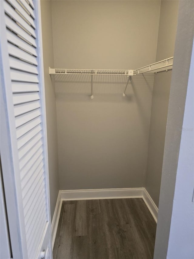 walk in closet featuring dark hardwood / wood-style flooring