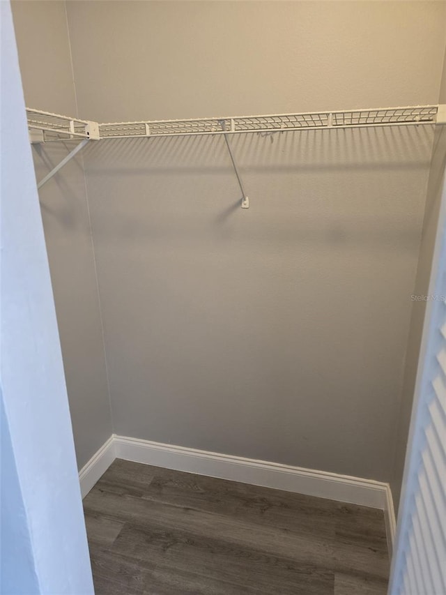 spacious closet featuring dark hardwood / wood-style flooring