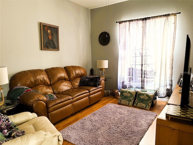 living area with wood finished floors