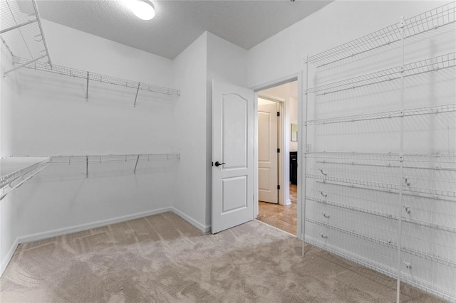 walk in closet with carpet flooring