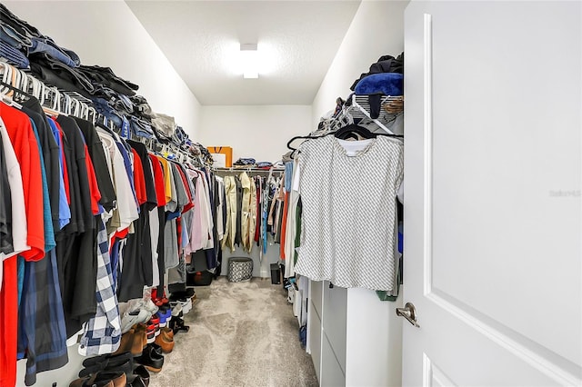 spacious closet featuring light carpet