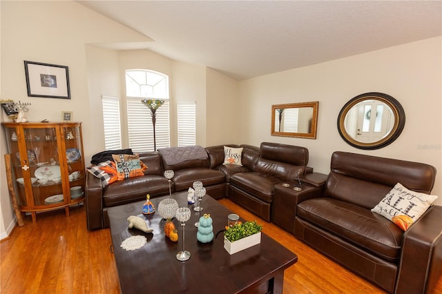 living room with hardwood / wood-style flooring and lofted ceiling