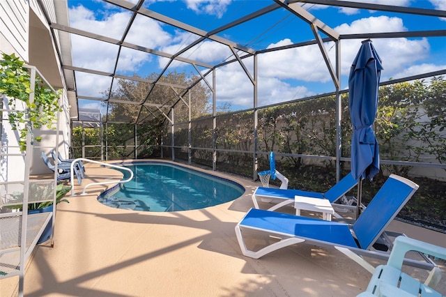 view of swimming pool with a lanai and a patio area