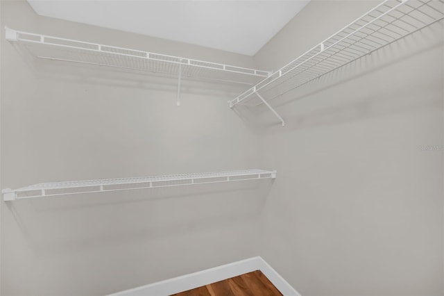 walk in closet with wood-type flooring