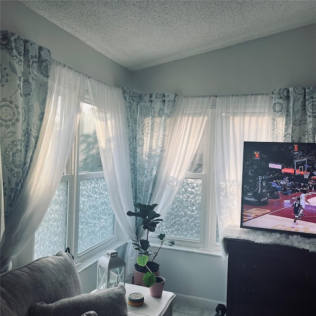 living area with vaulted ceiling and a textured ceiling