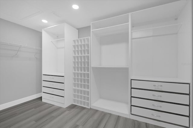 walk in closet with wood-type flooring