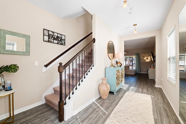 stairway featuring hardwood / wood-style flooring