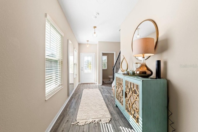 doorway to outside with dark wood-type flooring