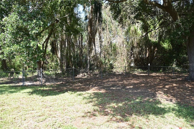 423 Longfellow Blvd, Lakeland, FL 33801 - view of yard