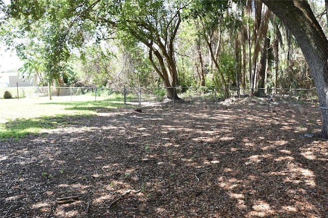 423 Longfellow Blvd, Lakeland, FL 33801 - view of yard