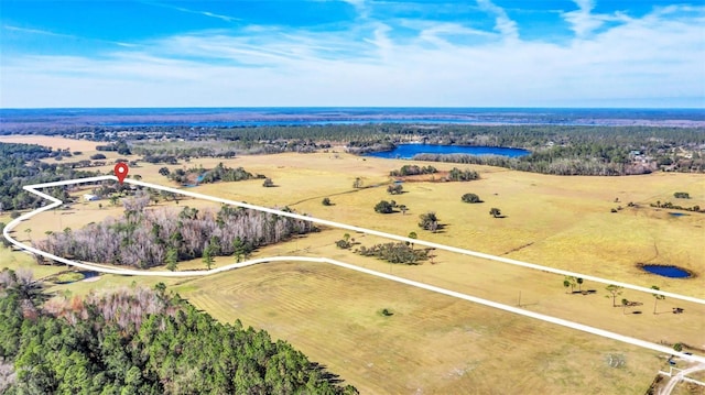 bird's eye view featuring a water view and a rural view