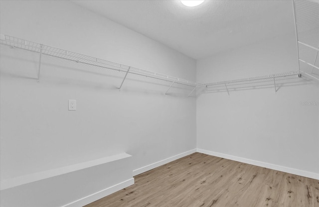 spacious closet featuring wood-type flooring