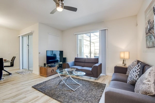 living room featuring ceiling fan and light wood-type flooring