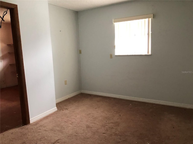 empty room featuring carpet