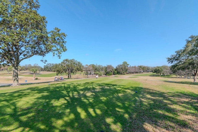 view of community featuring a lawn