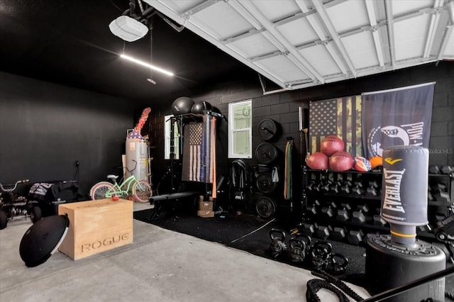 garage featuring a garage door opener and electric water heater