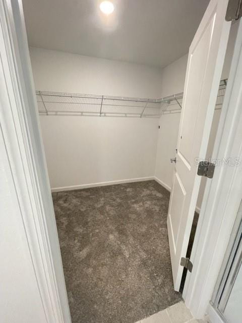 1148 Pomelo St, Davenport, FL 33837 - walk in closet with dark colored carpet