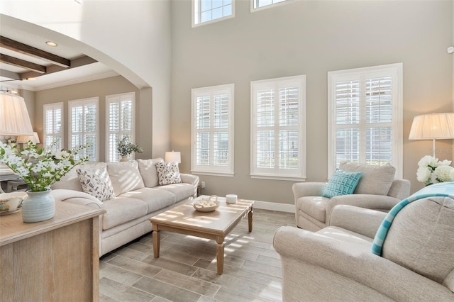 living room with beamed ceiling and plenty of natural light