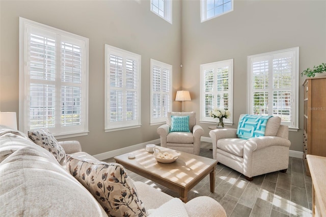 living room featuring hardwood / wood-style flooring and a towering ceiling