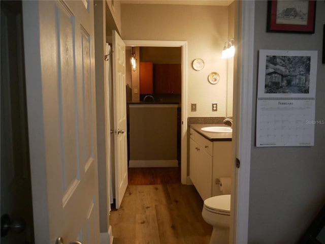 bathroom featuring vanity, wood-type flooring, and toilet