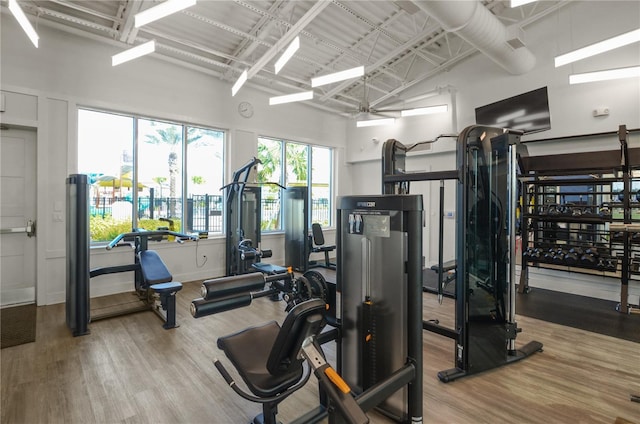 workout area featuring a towering ceiling and light hardwood / wood-style flooring