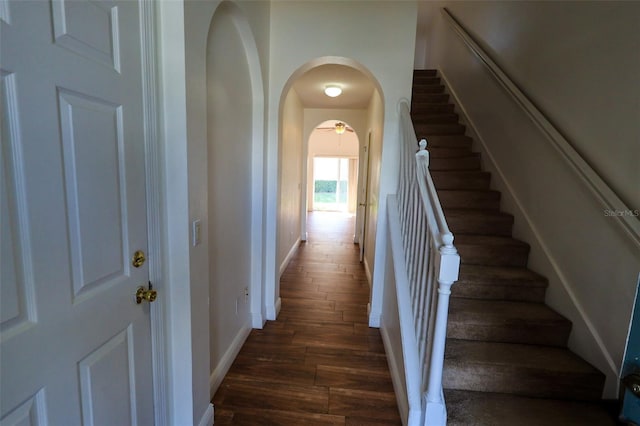 staircase with hardwood / wood-style floors