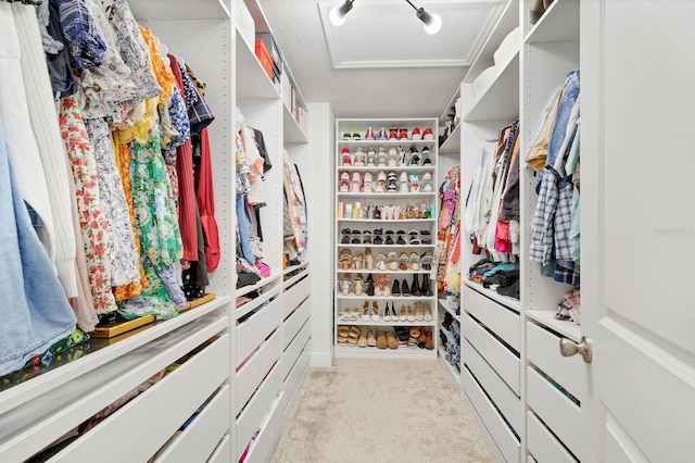 walk in closet with light carpet