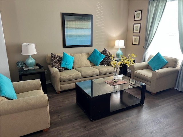living room with dark hardwood / wood-style flooring