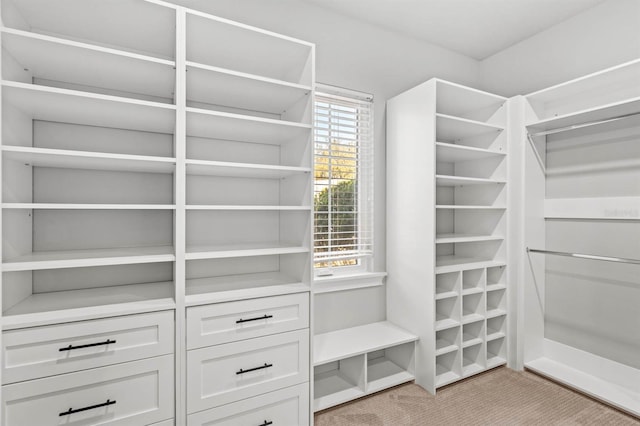 spacious closet with light carpet