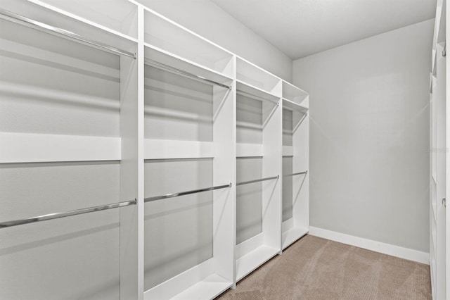 walk in closet featuring light colored carpet