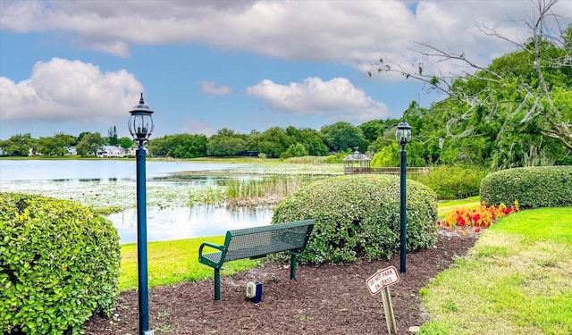 view of community featuring a water view