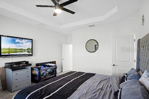 bedroom with a raised ceiling and ceiling fan