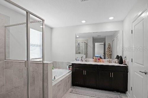 bathroom featuring vanity and separate shower and tub