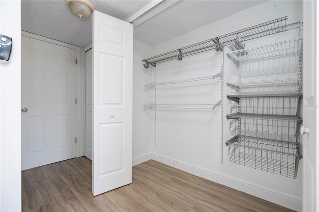 spacious closet featuring wood-type flooring