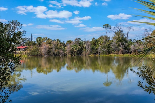 property view of water