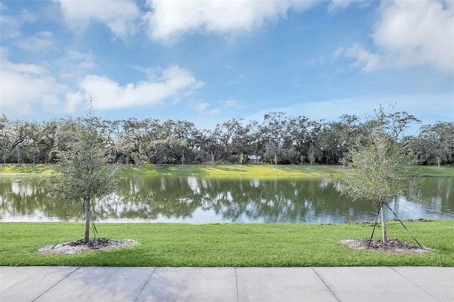 view of water feature