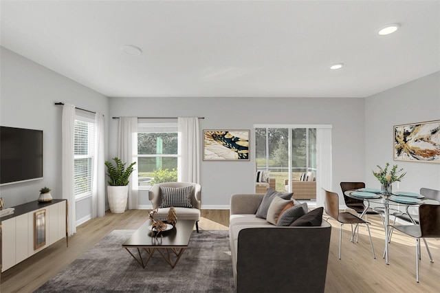 living room with hardwood / wood-style floors