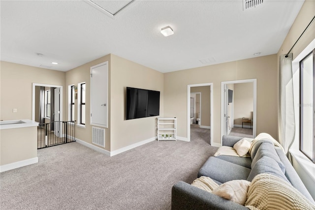 carpeted living room with a textured ceiling