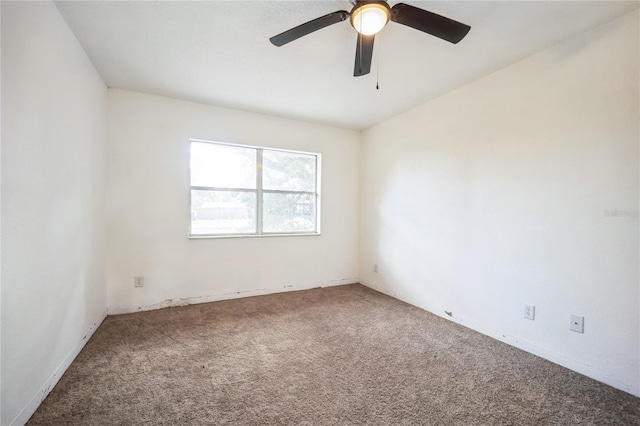 unfurnished room featuring ceiling fan and carpet