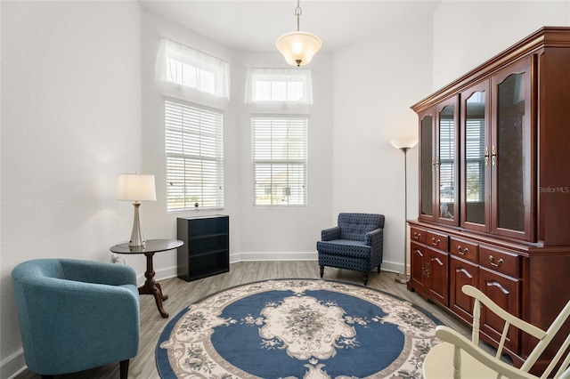 sitting room with light hardwood / wood-style flooring